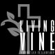 Living Vine Christian Fellowship