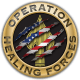 Operation Healing Forces Inc