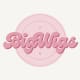 BigWigs LLC