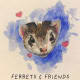 Ferrets and Friends Sanctuary
