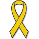 Avenge Pediatric Cancer Foundation Inc