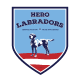 Hero Labradors