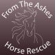From The Ashes Horse Rescue And Rehabilitation