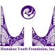 Hamakua Youth Foundation