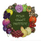 Felix Gillet Institute