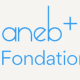 Fondation ANEB+