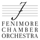 Fenimore Chamber Orchestra Inc