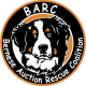 Bernese Auction Rescue Coalition Inc