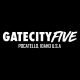 Gate City Five Inc