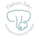 The Elephant Baby Foundation
