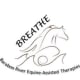 Baraboo River Equine Assisted Therapies Inc.
