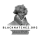 Blacknatchez.org
