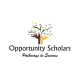 Opportunity Scholars