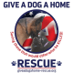 Give A Dog A Home Rescue