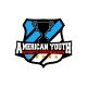 American Youth Sports Federation inc