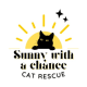 Sunny with a chance cat rescue