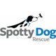 Spotty Dog Rescue Inc