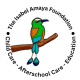 The Isabel Amaya Foundation