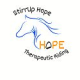 StirrUp Hope Therapeutic Riding Center