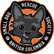 Small Dog Rescue BC