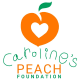 Peach Philanthropic Endowment Advancing Childrens Health Inc