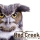 Red Creek Wildlife Center Inc