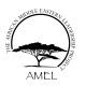 The African Middle Eastern Leadership Project