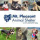 Mt Pleasant Animal Shelter Inc