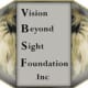 Vision Beyond Sight Foundation Inc