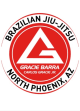 Gracie Barra Competition Team