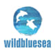 Wildbluesea Inc