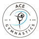 Ace Gymnastics Foundation