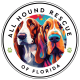 All Hound Rescue of Florida