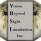 Vision Beyond Sight Foundation Inc