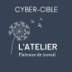 Cyber-Cible