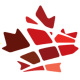 Federation of Black Canadians