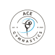 Ace Gymnastics Foundation