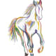 The Horse Of Many Colors