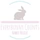 Everybunny Counts Rabbit Rescue