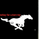 cowboy for a cure inc