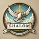 Shalom Restoration Project