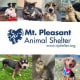 Mt Pleasant Animal Shelter Inc