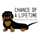 Chance Of A Lifetime Dachshund Rescue Inc
