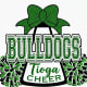 Tioga Cheer Booster Club