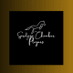 Saratoga Chamber Players Inc