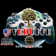 VEDUFFE Video Games Educating Financial Freedom & Entrepreneurship