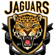 Oakville Jaguars Colombia Team