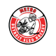 Metro Detroit Sled Hockey