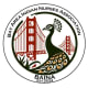 Bay Area Indian Nurses Association (BAINA)