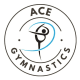 Ace Gymnastics Foundation